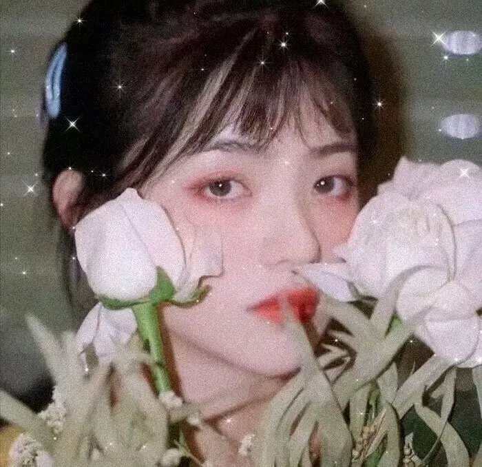 奇迹小雨燕