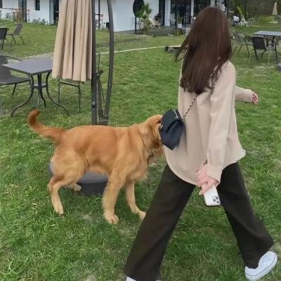 骑士的手套